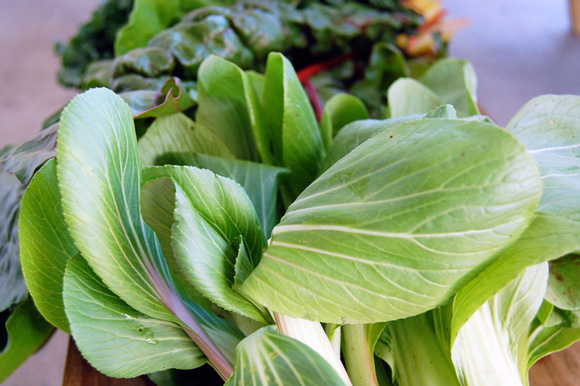 csa-greens-chard-bokchoy-kale
