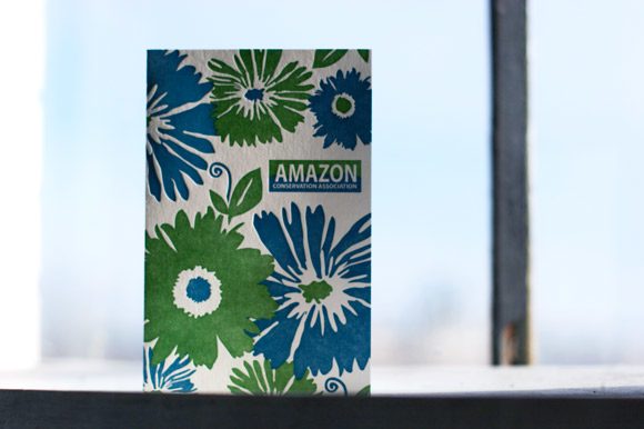 amazon-conservation-association