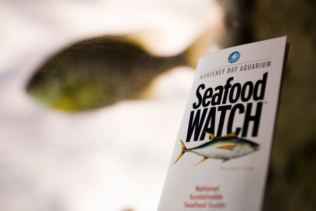 The Seafood Watch Pocket guide by the Monterey Bay Aquarium The Seafood Watch Pocket guide from the Monterey Bay Aquarium was created to help consumers make informed decisions when it comes to purchasing seafood
